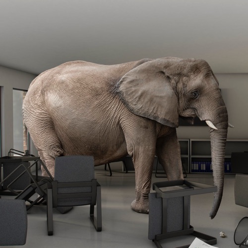 The Elephant In The Room logo